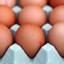 동우식품 이미지