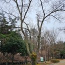 용의발광장 이미지