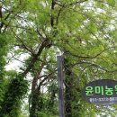 윤미농장 이미지