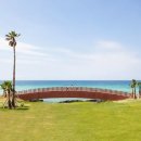 제주청정돼지 어멍 이미지