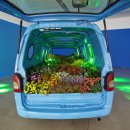 자동차가 행복한집 이미지