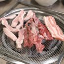 미친고기 이미지