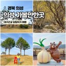 탑리여자중학교 | 경북 의성 가볼만한곳 산수유마을 조문국사적지 박물관 외 대구근교 여행