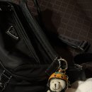 꼬리치랑개 | 7월의 은주상