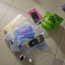 코엑스마곡에서 하는 2025 케이펫페어마곡 1일차 다녀온 후기