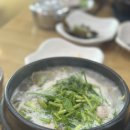 명천 | 사천읍 복국 명천복집 l 까치복 생복국 솔직 후기