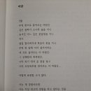 코코양양