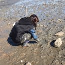 쏠플레오 이미지