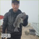 병기호 좌대낚시터 | 당진 시아호좌대 낚시 가을 쭈꾸미낚시 정보 알아보니