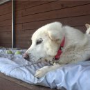 철용농장 이미지