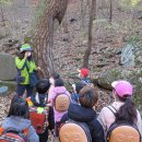 낙동초교병설유치원 이미지