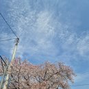 곡성군청 | 곡성 후기