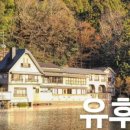 고고렌트카강 네이버블로그