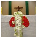 화곡본동 이미지