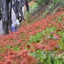 선암호수공원축구장 이미지