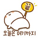 오늘의 집밥 네이버블로그