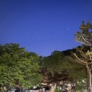 보물나라 - 창원시 마산합포구 완월남1길 16 | 보물나라