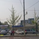 원호족구장 이미지