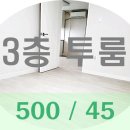 지에스(GS)25 파주법흥다우리점 | [파주 투룸] 탄현면 법흥리 이 곳에 따뜻, 조용, 깨끗! 3박자가 조화로운 투룸