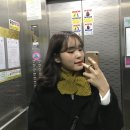 [학회]2024 한국감성과학회 하계학술대회( ICES2024_Summer)후기