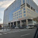 골든튤립호텔&스위트 | [인천 가성비 호텔 추천] 골든튤립 인천공항 호텔&amp;스위트에서 1박한 후기