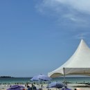 [제주도 여행] 제주 감성 숙소 류월, 제주 협재여행