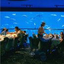 미들아일랜드(middle island) 이미지