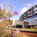 마이더스호텔 이미지