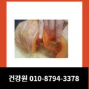 교동건강원