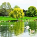 호수풍경 이미지