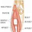 바디템플 휘트니스 이미지