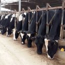 벧엘목장 이미지