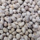 설 청국장 이미지