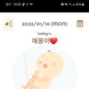 애몽