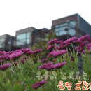 모나코펜션 이미지