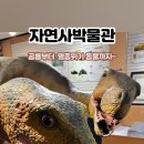 경북대학교자연사박물관 이미지