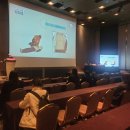 대한자기공명의과학회 | ICMRI 2025, 또 하나의 기록을 남기다 — 18개국 733명과 함께한 MRI 연구의 오늘