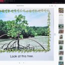 26 Look At This Tree 이미지