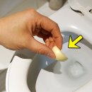 화장실 실리콘 곰팡이 없애는 쉬운 방법 이미지