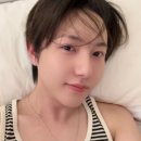 나는베짱이 이미지