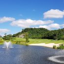 필드 골프클럽 이미지