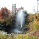 복드림한우고기 이미지