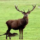 동의보감해독한의원 이미지