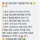 황산공원 배구장 이미지