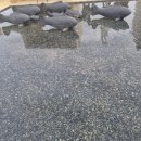 유상행정사사무소 이미지