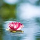 봉선체육공원1 이미지