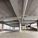 메디정문약국 이미지