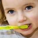 세컨브레스 이미지