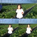 삼공주 농원 이미지