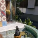 오렌지파크 이미지